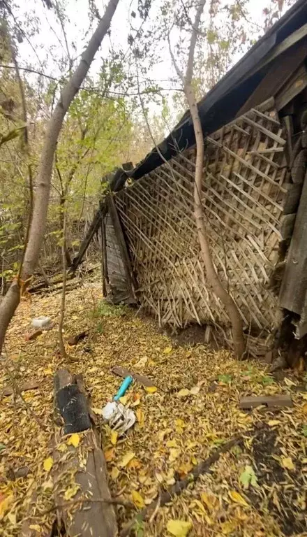 Участок в Томская область, Томск Черемошники мкр, ул. Большая ... - Фото 1