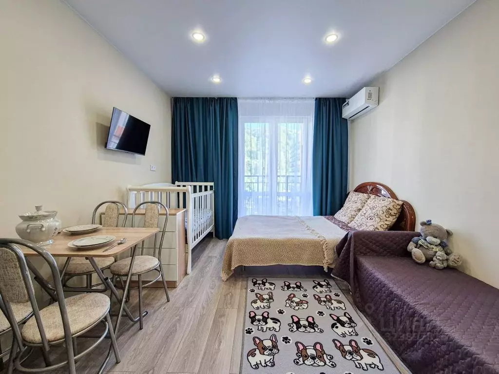 Студия Краснодарский край, Сочи ул. Искры, 88к3 (27.9 м) - Фото 1