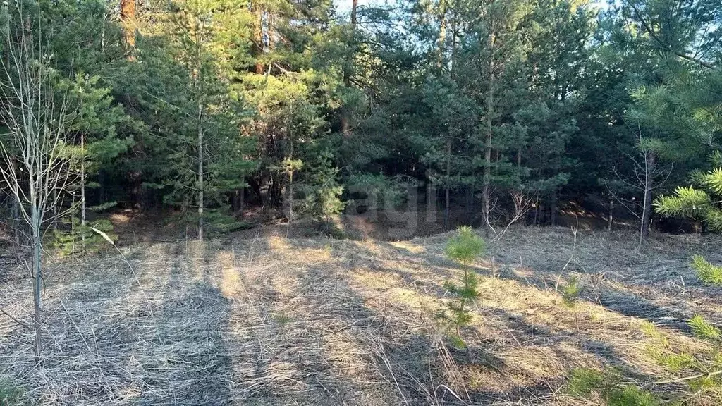 Участок в Татарстан, Казань  (15.0 сот.) - Фото 1