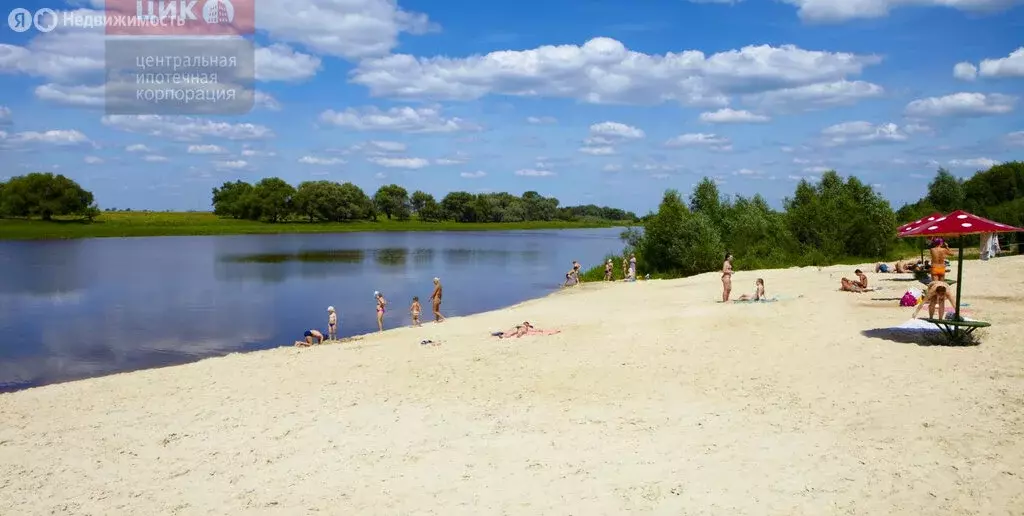 Дом в Заборье, Луговая улица (47.8 м) - Фото 1