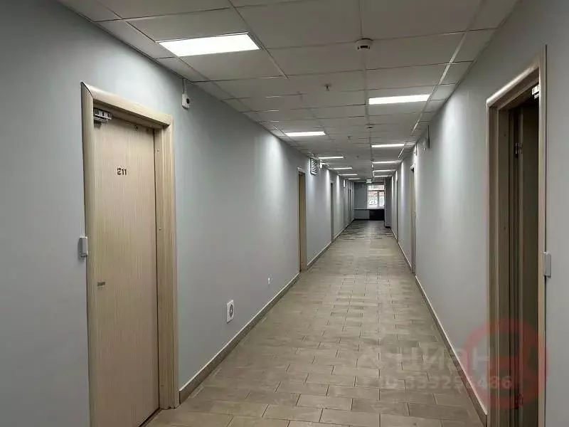 Офис в Самарская область, Самара ул. Мичурина, 21 (630 м) - Фото 1