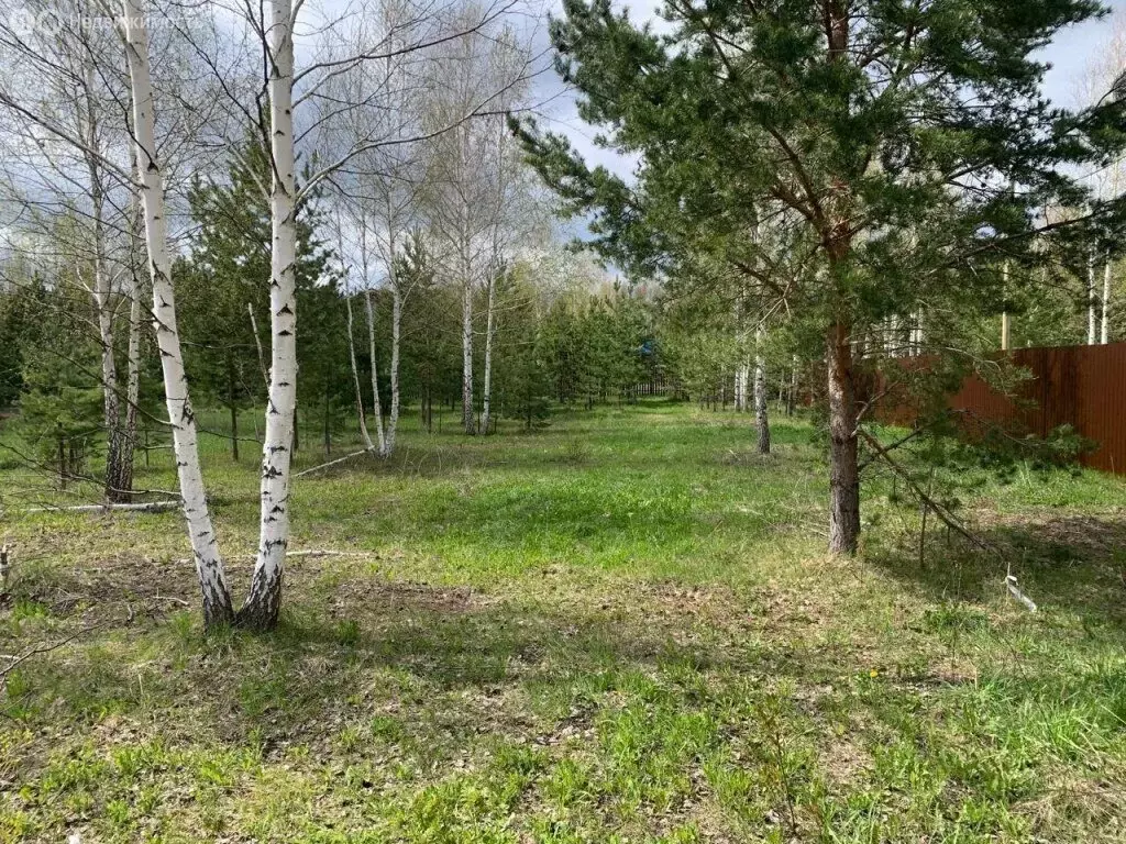 Участок в Свердловская область, Белоярский муниципальный округ, ДНП ... - Фото 1