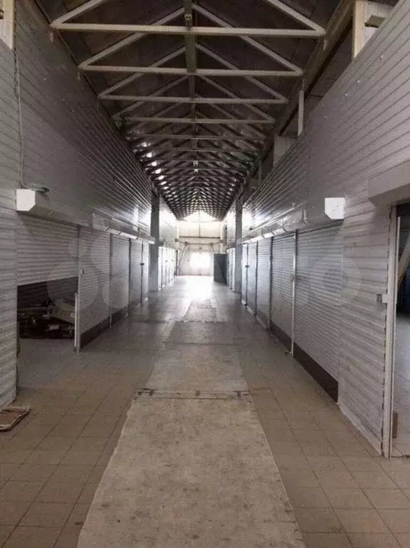 Сдам помещение свободного назначения, 716 м - Фото 1