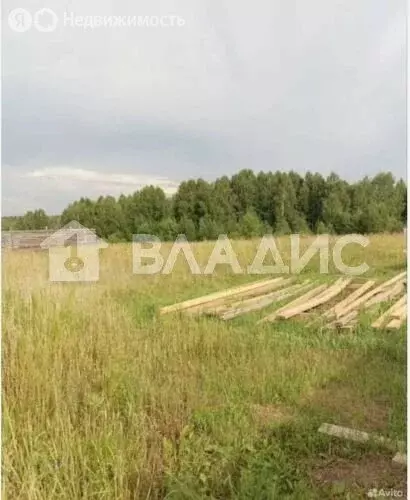 Участок в Берёзовский район, Есаульский сельсовет, ДНТ Луговое (11.5 ... - Фото 1