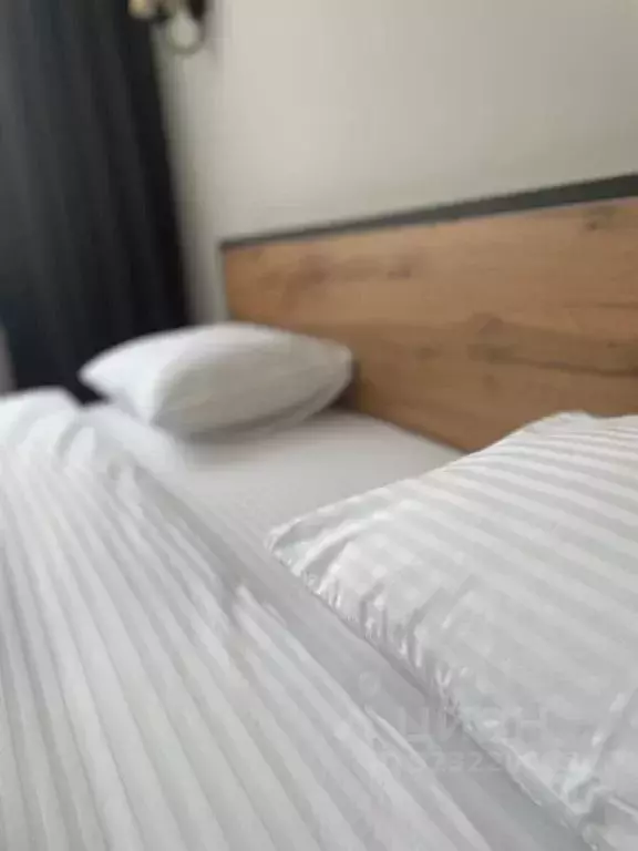 Комната Липецкая область, Елец ул. Братьев Родионовых, 1Г - Фото 1