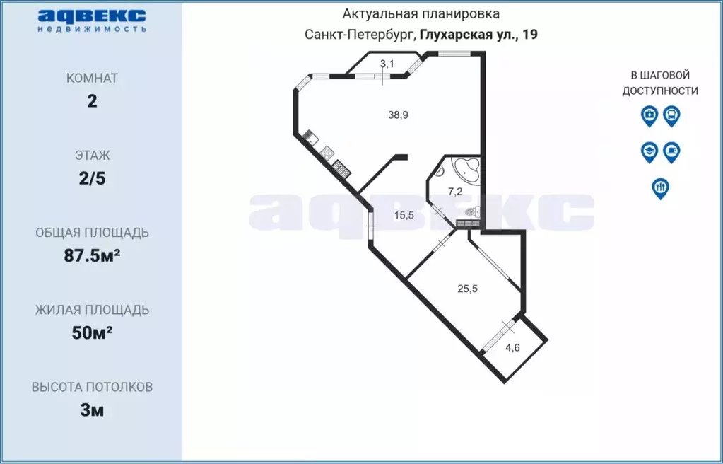 1-к кв. Санкт-Петербург Глухарская ул., 19 (87.5 м) - Фото 2