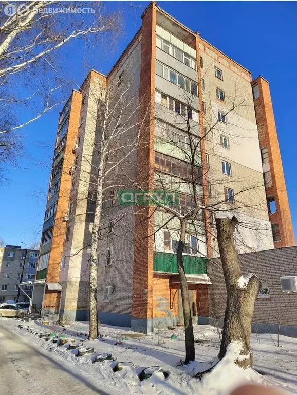 1-комнатная квартира: Пенза, улица Кулибина, 14 (33.5 м) - Фото 2