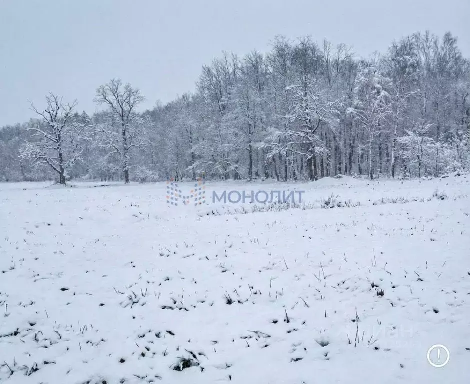 Участок в Нижегородская область, Нижний Новгород с. Елховка, ул. ... - Фото 1