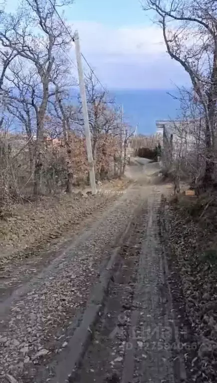 Участок в Ленинградская область, Гатчинский муниципальный округ, ... - Фото 1