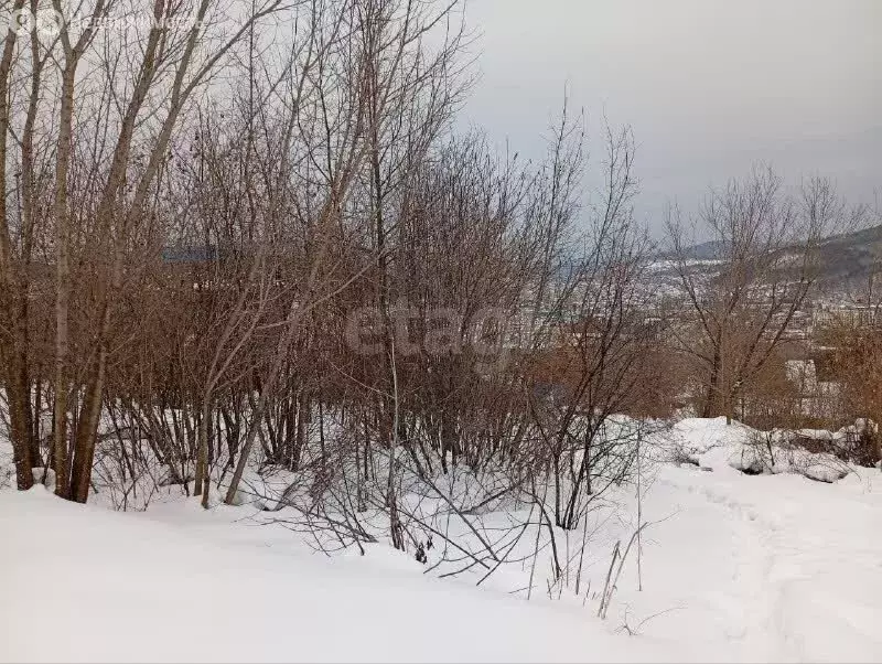 Участок в Горно-Алтайск, СНТ Садовод (4.61 м) - Фото 2