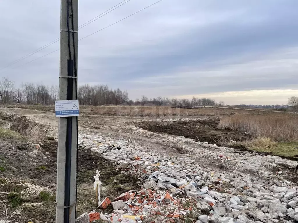 Участок в Калининградская область, Гурьевский муниципальный округ, ... - Фото 1