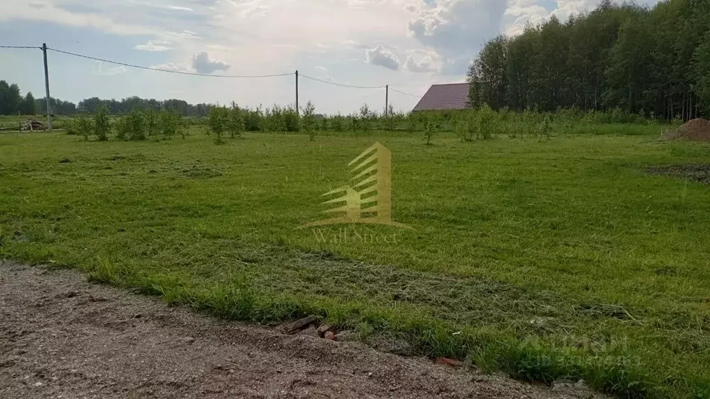 Участок в Новосибирская область, Мошковский район, Барлакский ... - Фото 1