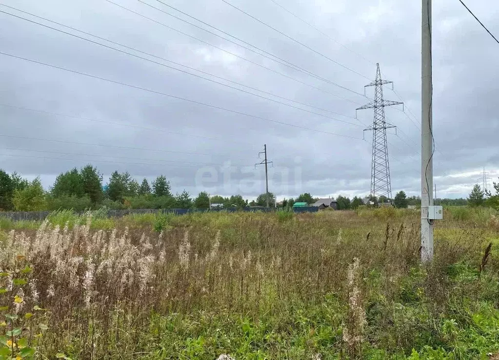 Участок в Кировская область, Кирово-Чепецкий район, Пасеговское с/пос, ... - Фото 1