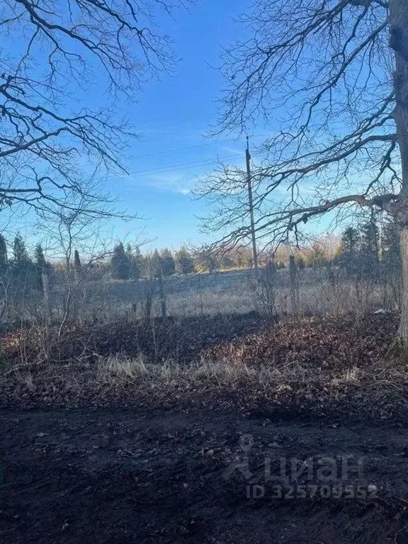 Участок в Калининградская область, Гурьевский муниципальный округ  ... - Фото 1