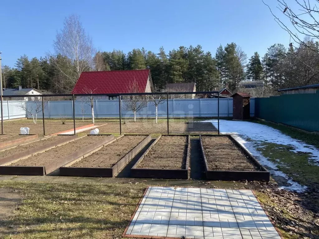 Участок в Псковская область, Псковский район, Тямшанская волость, ... - Фото 2