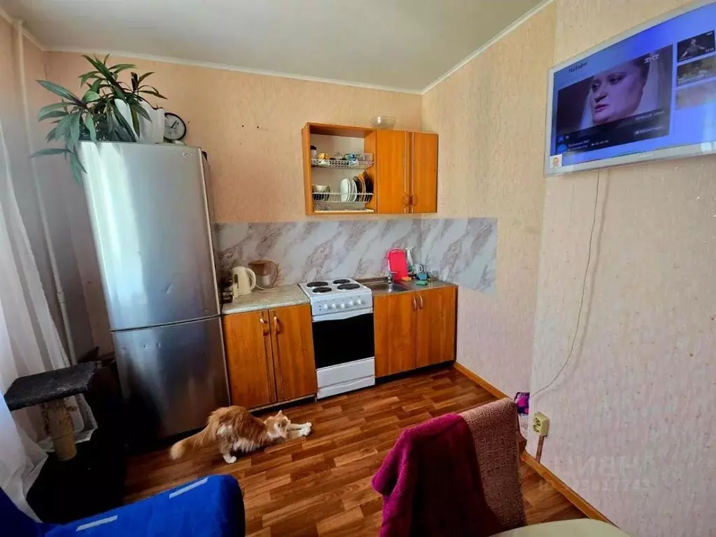 1-к кв. Курская область, Курск просп. Вячеслава Клыкова, 79 (37.5 м) - Фото 2