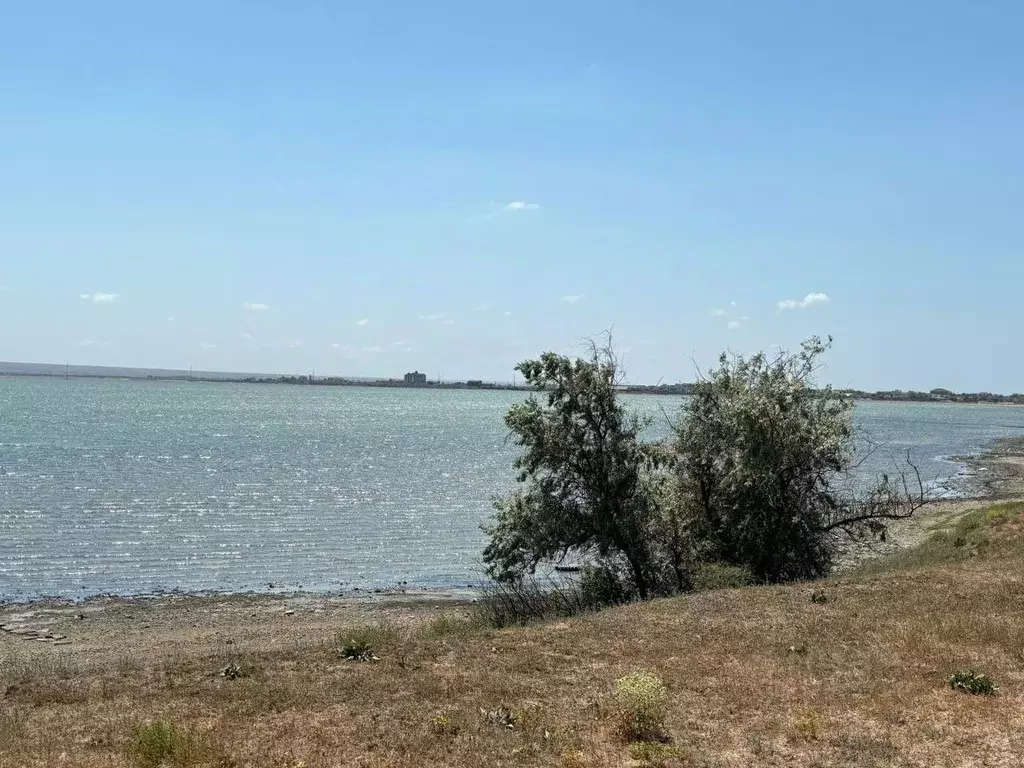 Участок в Крым, Черноморский район, с. Межводное  (1.3 га.) - Фото 1