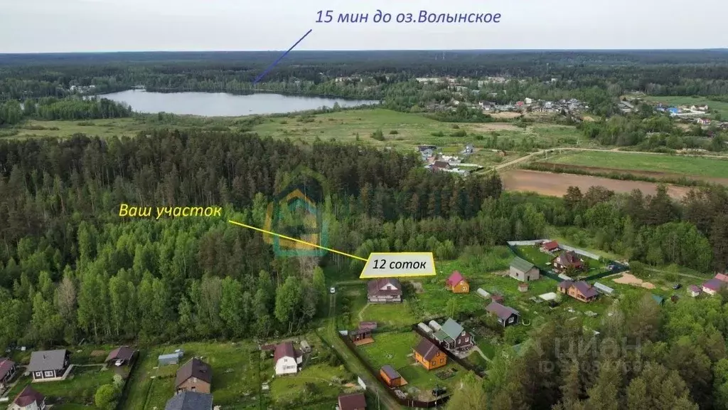 Участок в Ленинградская область, Приозерский район, Раздольевское ... - Фото 2
