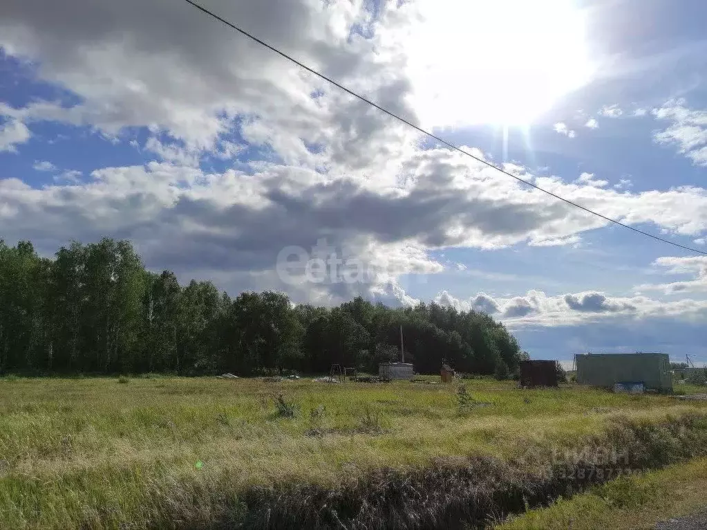 Участок в Тюменская область, Тюмень  (10.0 сот.) - Фото 1