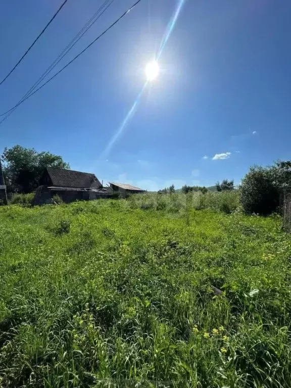 Участок в Алтай, Майминский район, с. Подгорное Набережная ул. (16.0 ... - Фото 1