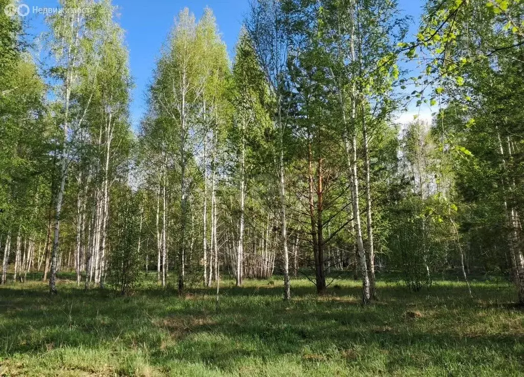 Участок в Курганская область, Кетовский муниципальный округ, ДПК ... - Фото 1