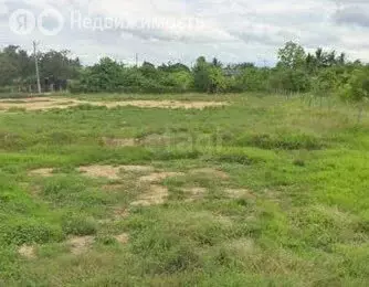 Участок в Новосибирский район, село Плотниково (10 м) - Фото 2