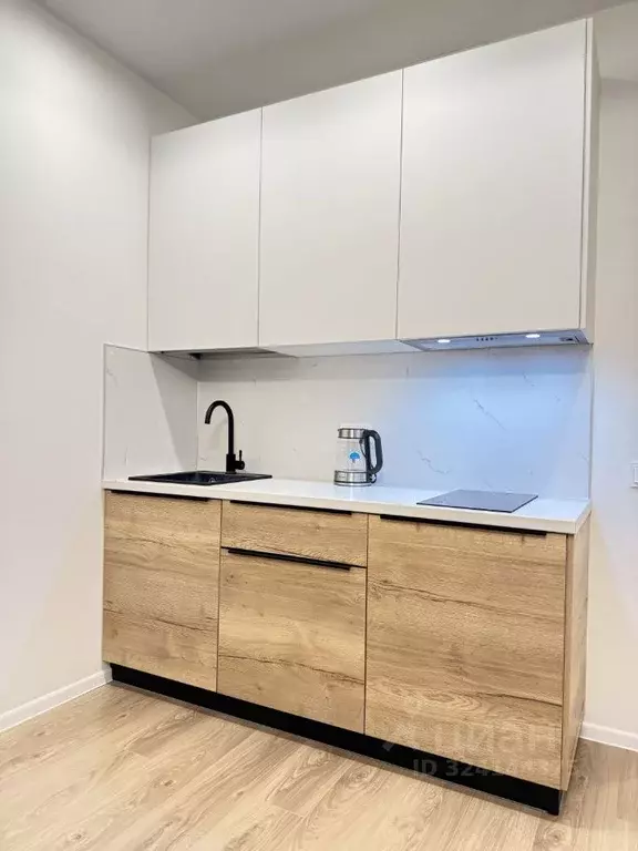 Студия Московская область, Красногорск городской округ, пос. ... - Фото 2