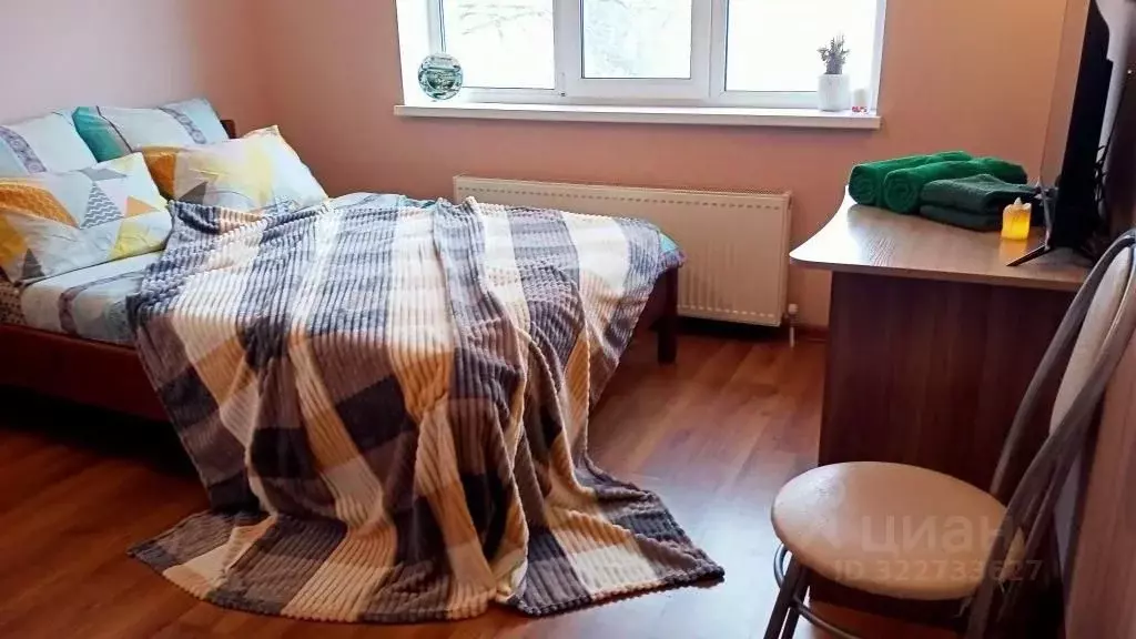 1-к кв. Псковская область, Себеж ул. Пролетарская, 37 (25.0 м) - Фото 0
