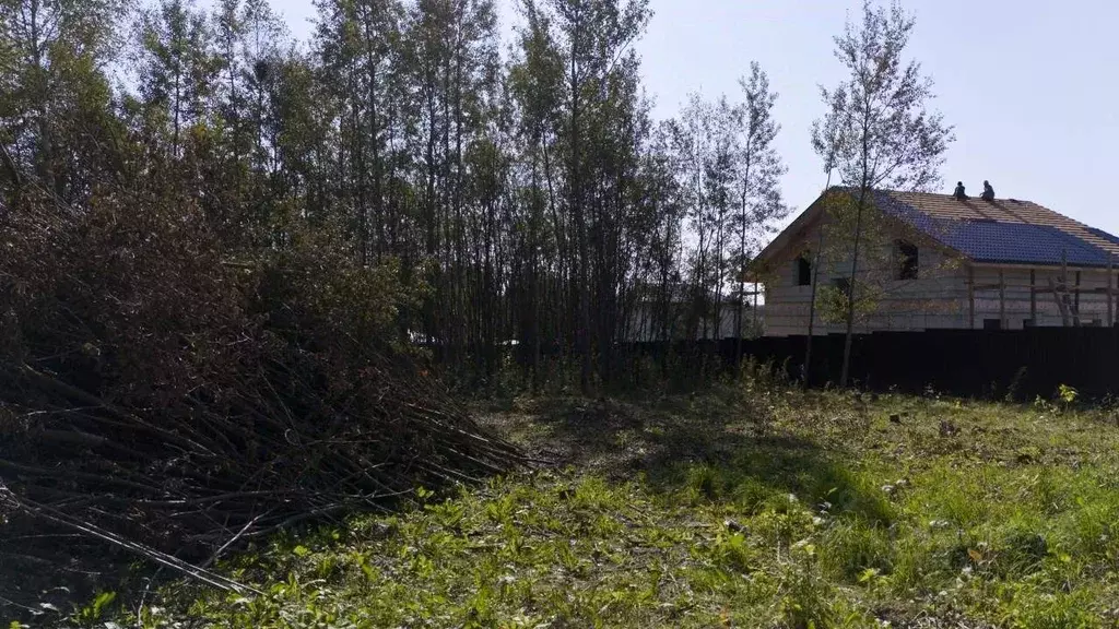 Участок в Московская область, Чехов муниципальный округ, д. Васькино ... - Фото 2