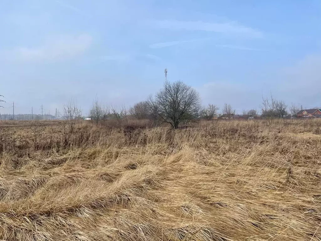 Участок в Московская область, Воскресенск городской округ, с. Ачкасово ... - Фото 0