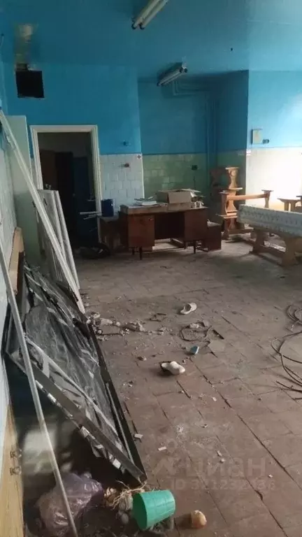 Помещение свободного назначения в Омская область, Омск пос. Большие ... - Фото 0