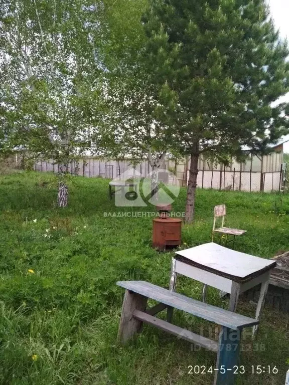 Участок в Новосибирская область, Новосибирский район, Раздольненский ... - Фото 2