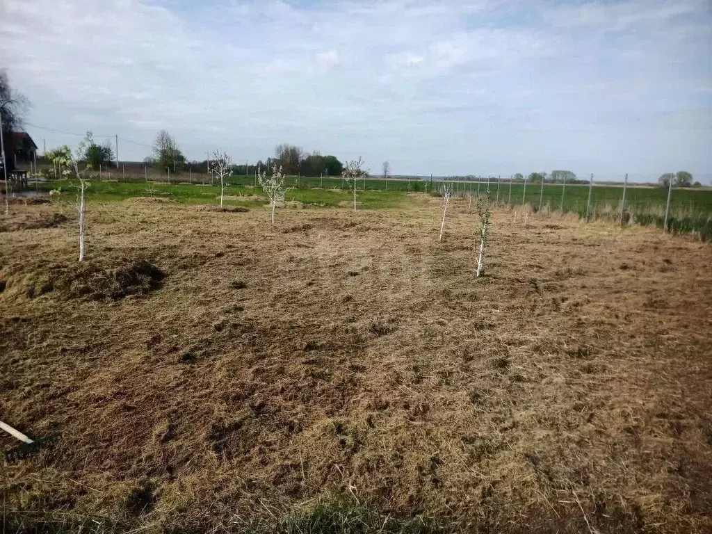 Участок в Калининградская область, Зеленоградский муниципальный округ, ... - Фото 2