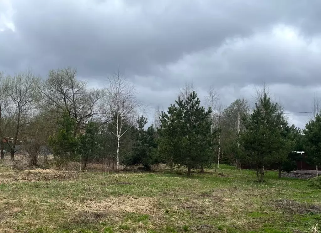 Участок в Московская область, Звенигород Одинцовский городской округ, ... - Фото 2