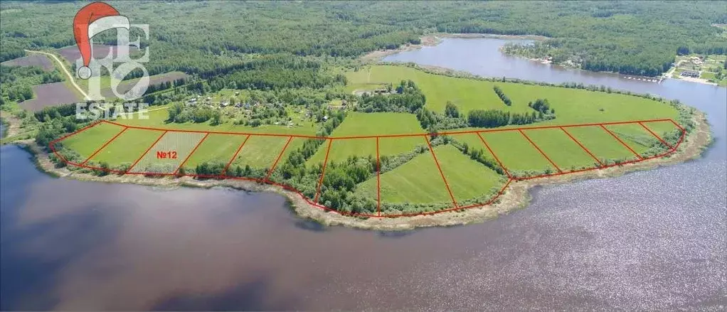 Участок в Ярославская область, Угличский муниципальный округ, д. ... - Фото 1