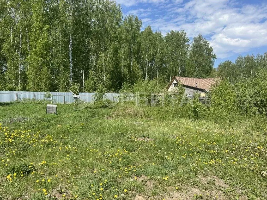 Участок в Тюменская область, Тюмень Сигнал садовое товарищество,  ... - Фото 1