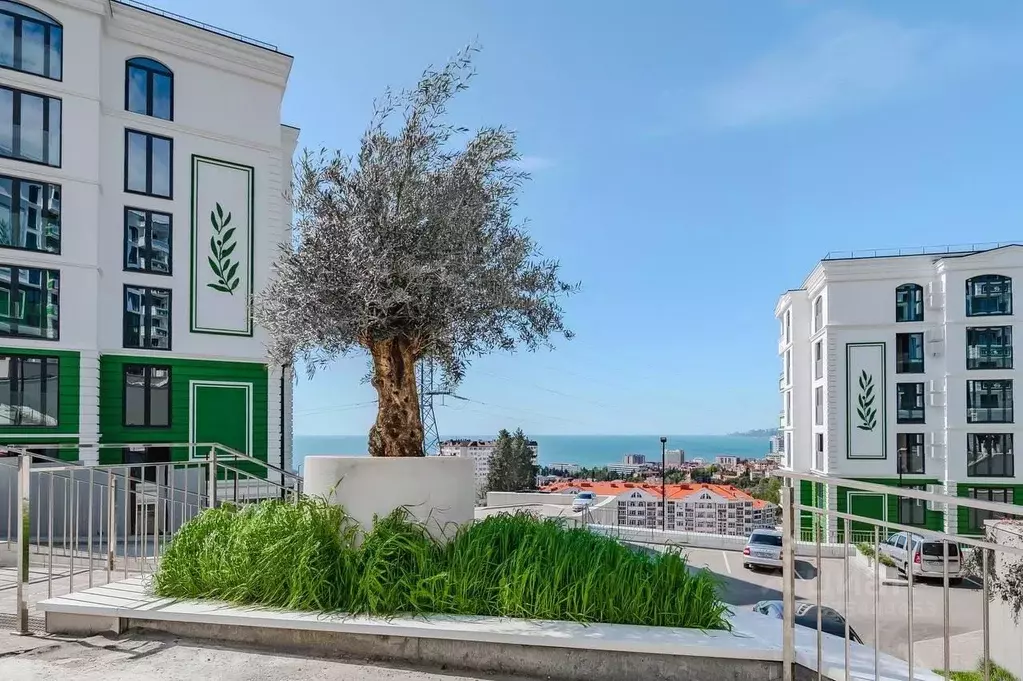 Студия Краснодарский край, Сочи ул. Ленина, 290/8к3 (26.0 м) - Фото 2