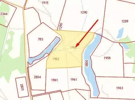 Участок в Ярославская область, Некрасовское рп  (800.0 сот.) - Фото 2