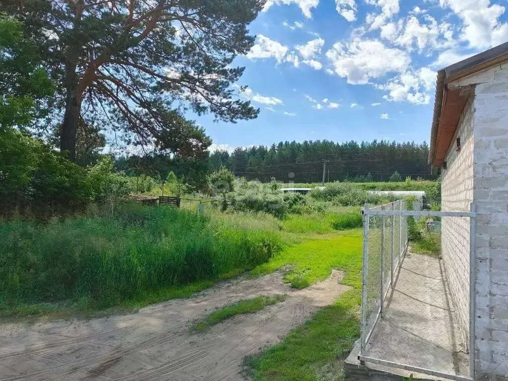 участок в алтайский край, барнаул городской округ, ползуново ст. ул. . - Фото 1