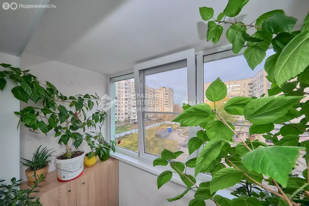 3-комнатная квартира: Рязань, район Недостоево, улица Сельских ... - Фото 2