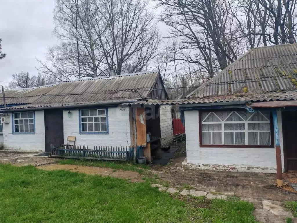 Дом в Белгородская область, Вейделевский район, с. Николаевка ул. ... - Фото 1