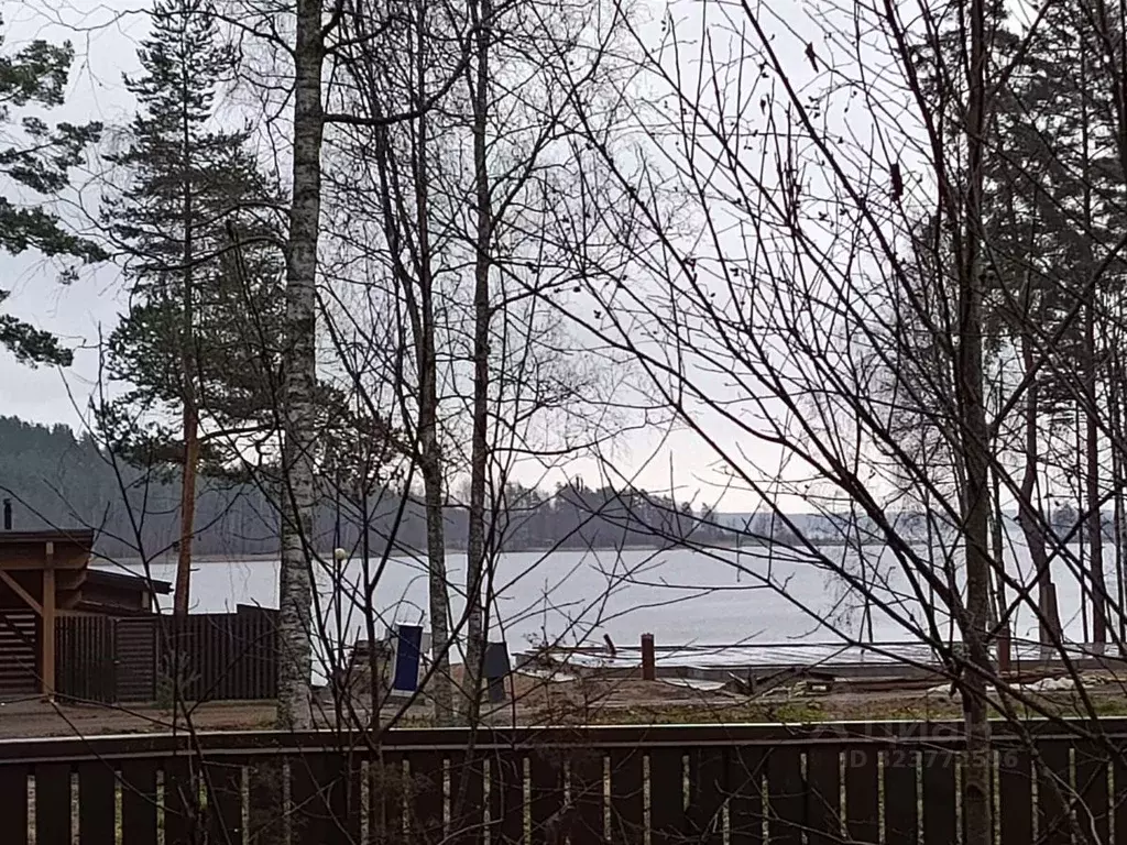 Участок в Ленинградская область, Приозерский район, Громовское с/пос, ... - Фото 1