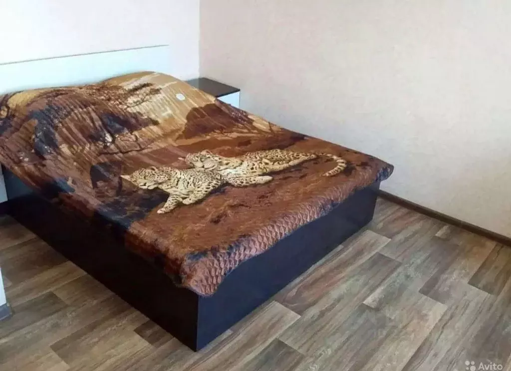 1-к кв. Ставропольский край, Буденновск 7-й мкр, 19 (22.0 м) - Фото 1