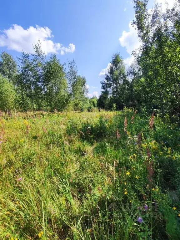 Участок в Владимирская область, Петушки ул. Ивана Кузнецова (10.0 ... - Фото 1