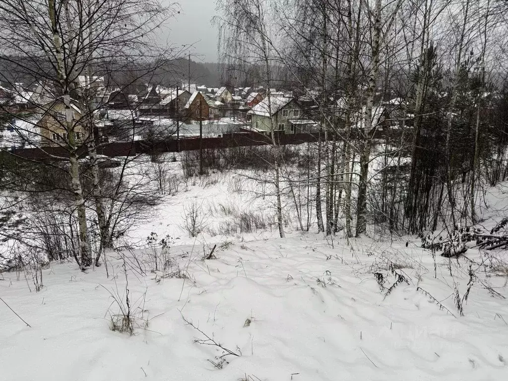 Участок в Московская область, Пушкинский городской округ, д. Лепешки  ... - Фото 0