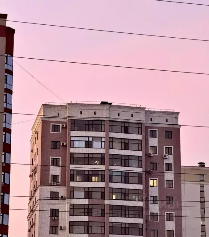 Студия Алтайский край, Барнаул ул. Никитина, 40 (26.0 м) - Фото 2