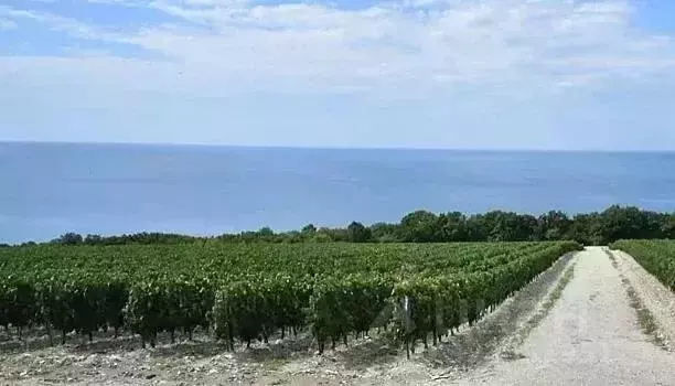 Участок в Краснодарский край, Геленджик городской округ, с. ... - Фото 2