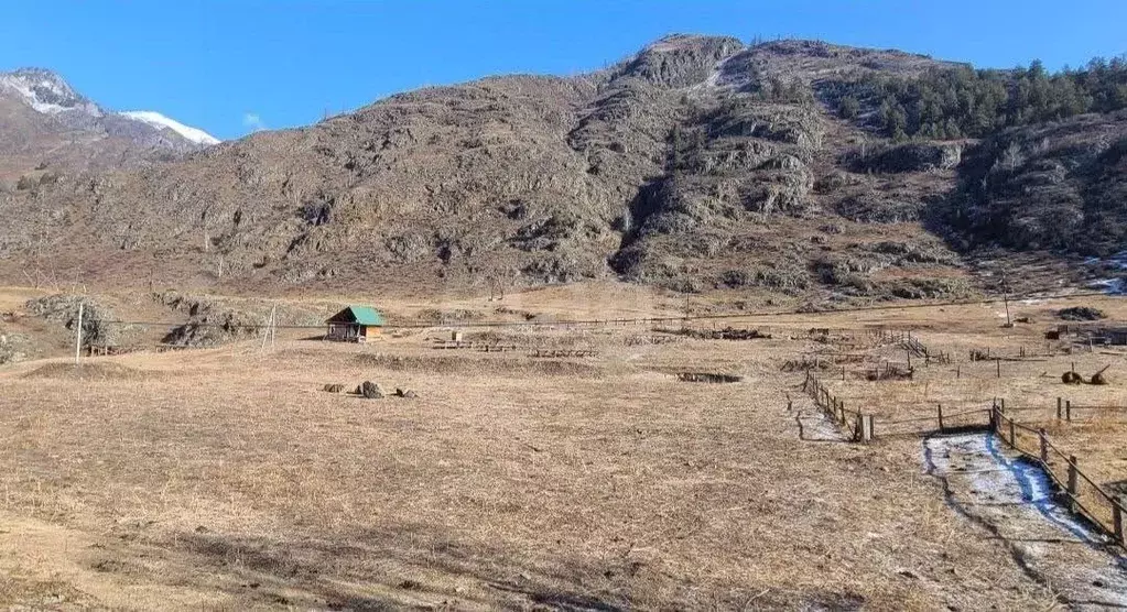 Участок в Алтай, Чемальский район, с. Еланда Катунская ул., 5 (77.0 ... - Фото 1