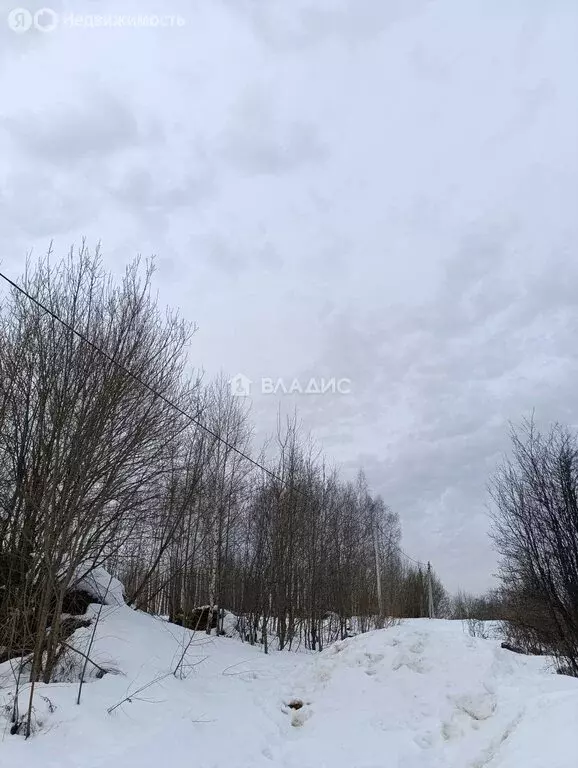 Участок в деревня Афонино, Зелёная улица, 20 (9.7 м) - Фото 2