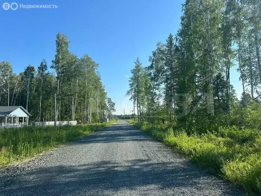 Участок в Нижнетавдинский район, село Тюнево (12 м) - Фото 0